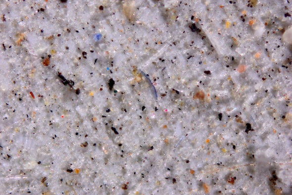 Over 1,000 metric tons of microplastics downpour down on US parks and wild