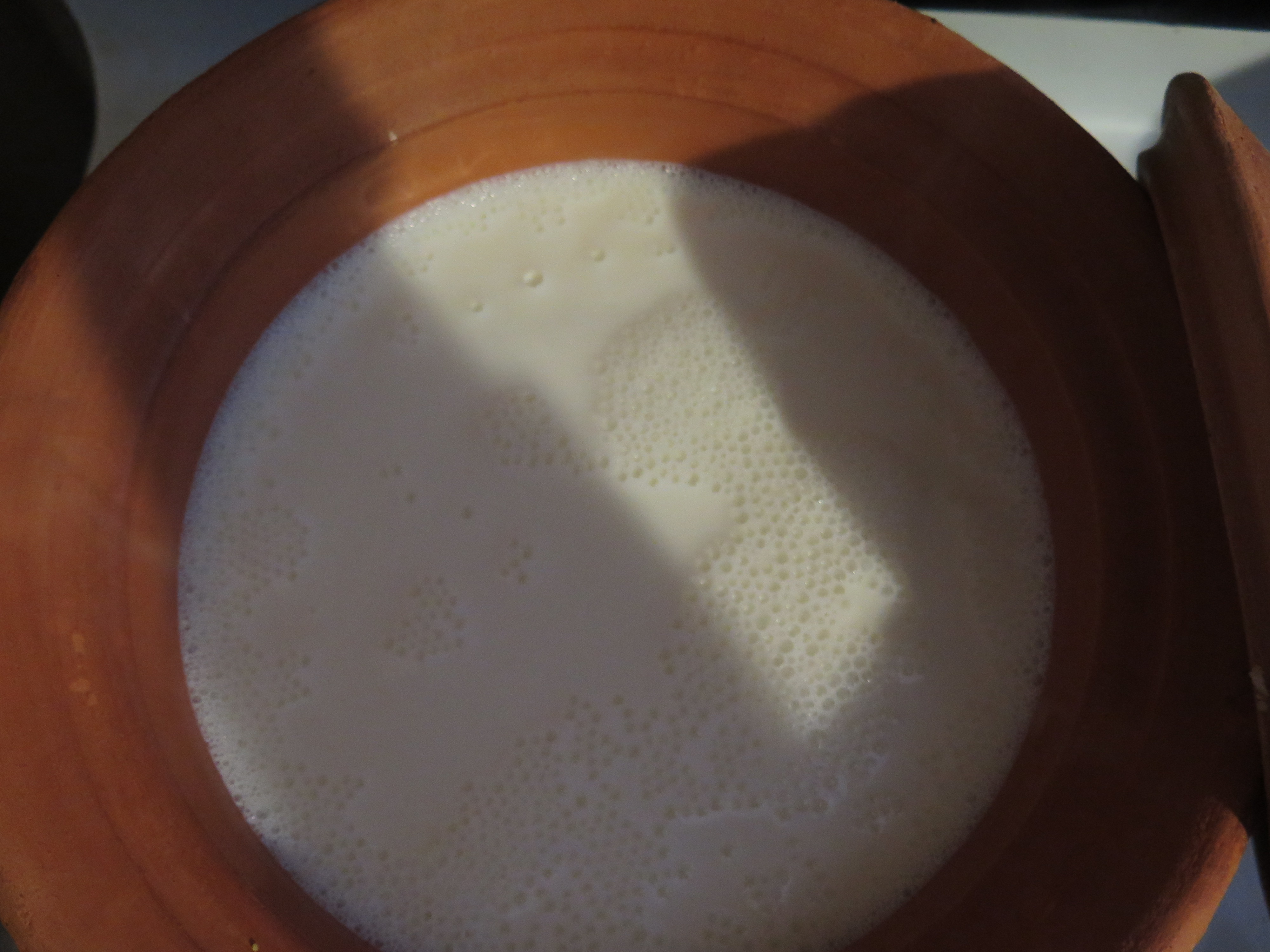Boiling milk in MEC for making yogurt