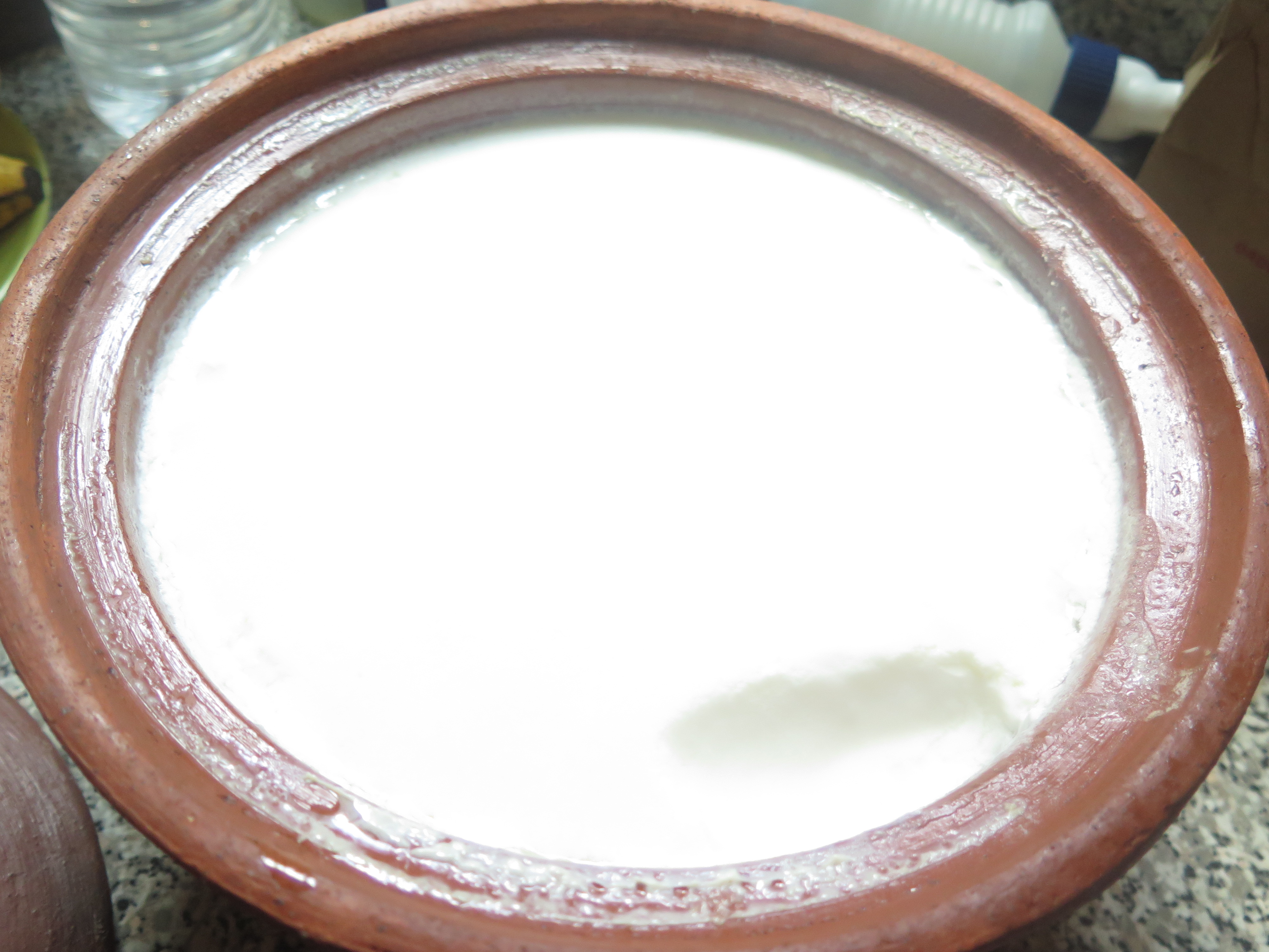Naturally thick and creamy MEC yogurt